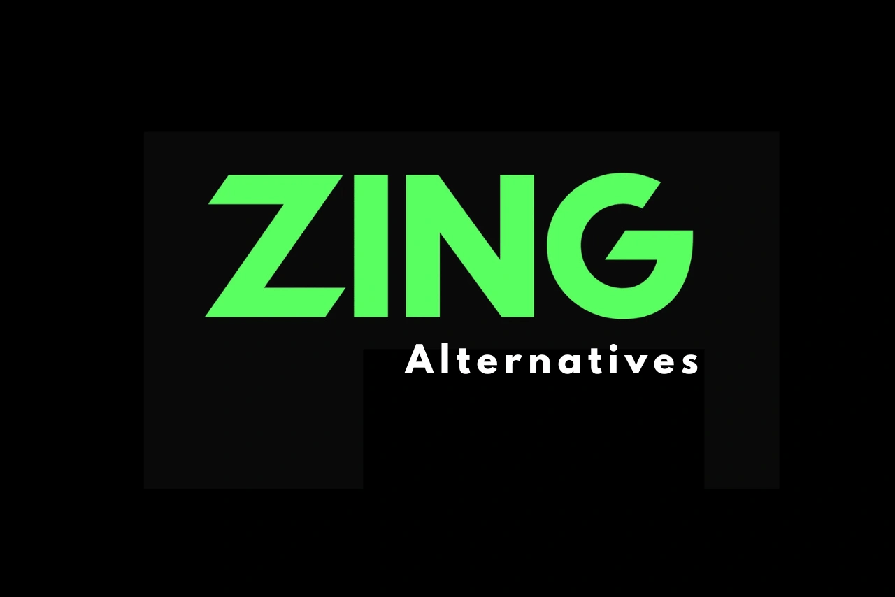 Zing logo with alternatives written beneath it.